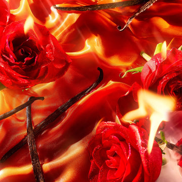 Danger Pour Femme Roja Parfums
