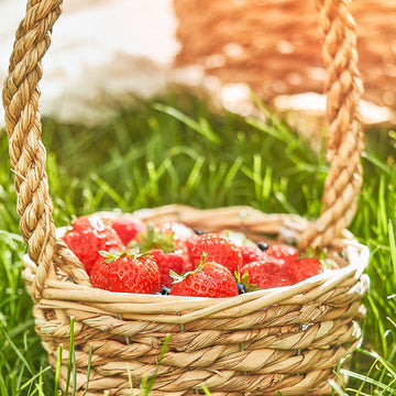 Picking Berries In Autumn Candle Roja Parfums