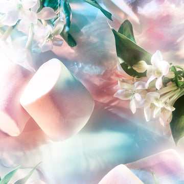 Reckless Pour Femme Essence De Parfum Roja Parfums