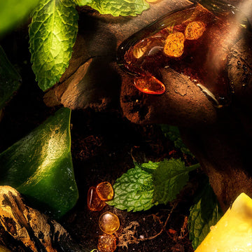 Golden amber beads and viscous liquid spill onto dark wood, mingling with mint and aloe—evoking the Art Of Layering in The Apex Gift Set by Roja Parfums, a rich, natural scent experience in warm lighting.