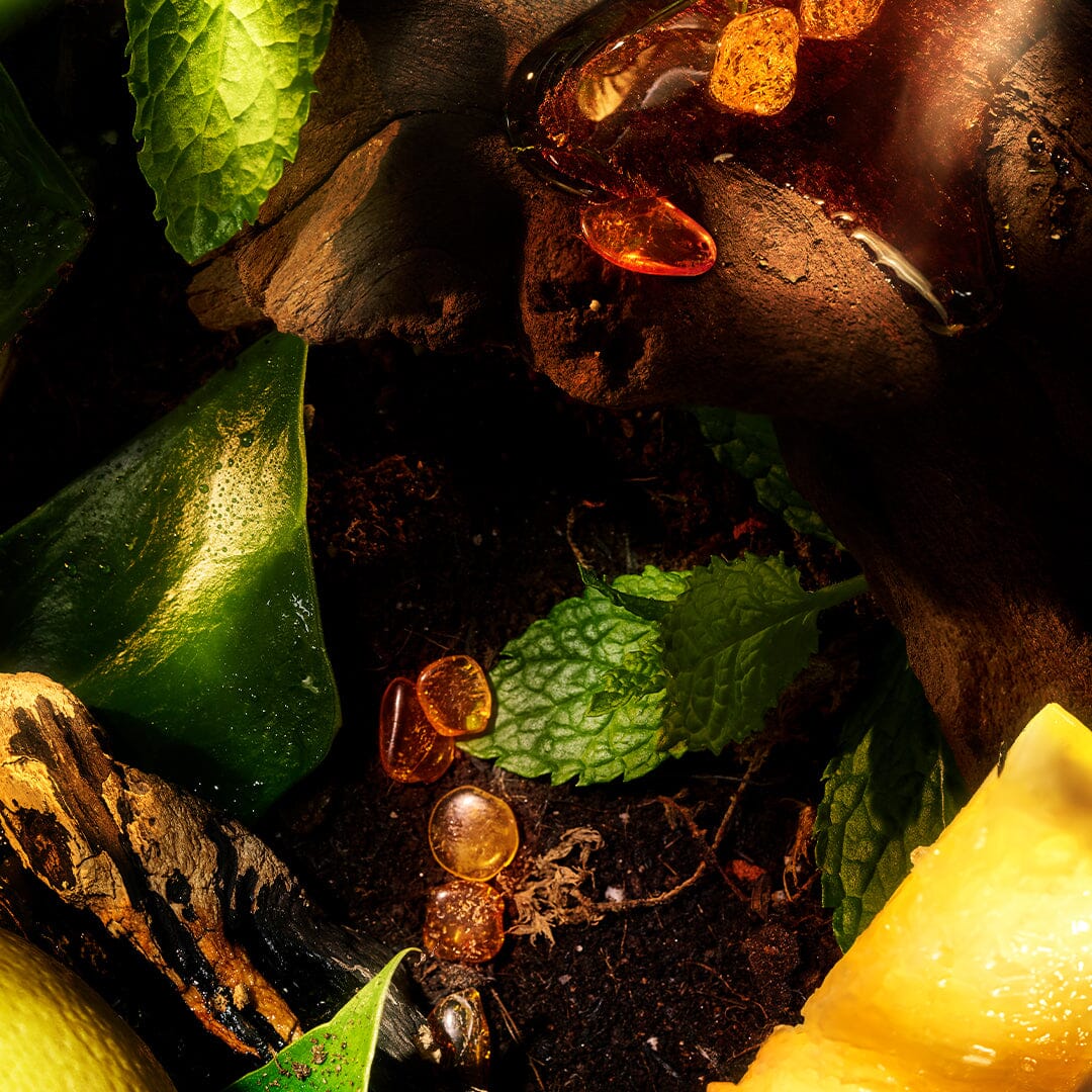 An amber-hued beaded ant crawls on soil among mint leaves, a yellow fruit slice, a wooden log, and amber resin—evoking the earthy elegance and natural perfumery notes in Apex Eau Intense by Roja Parfums.