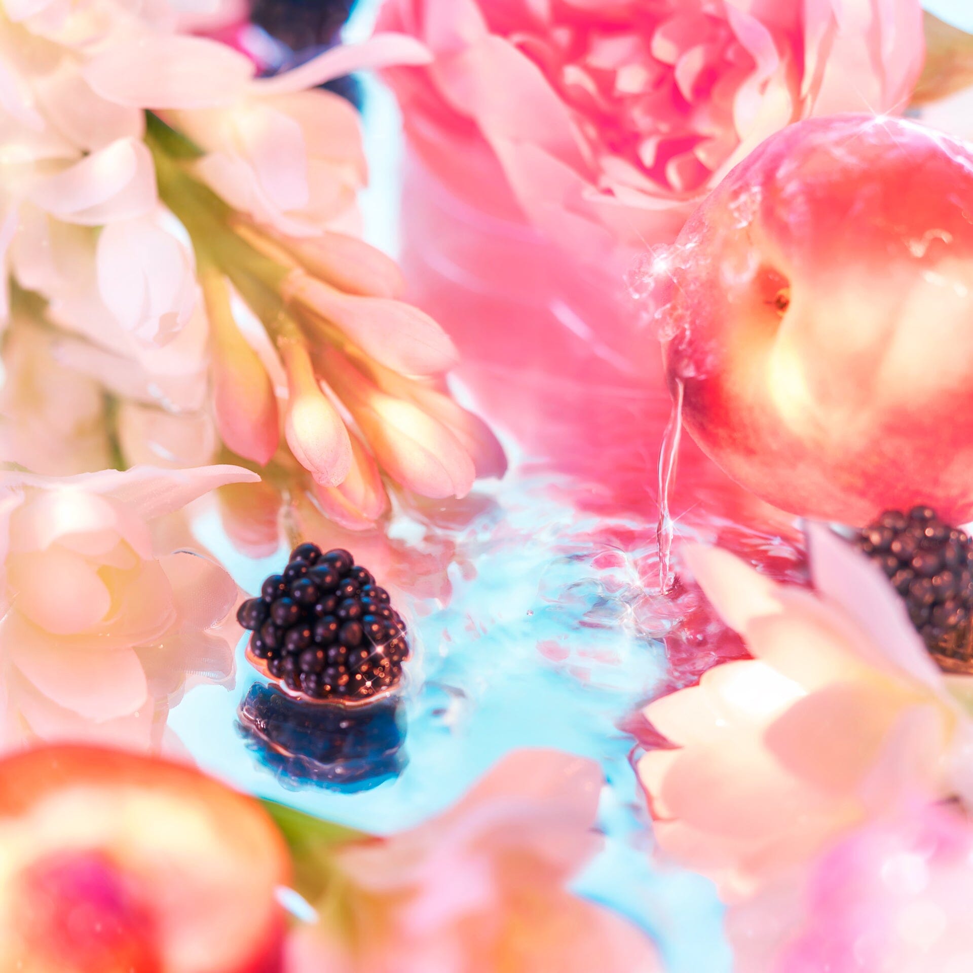 A close-up of blackberries, peaches, and pink and white flowers on a reflective surface evokes the dreamy, Elysium-inspired aesthetic of Roja Parfums Elysium Pour Femme.