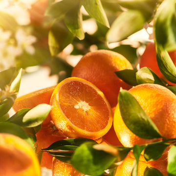 Lazing Under The Orange Trees Diffuser Roja Parfums 