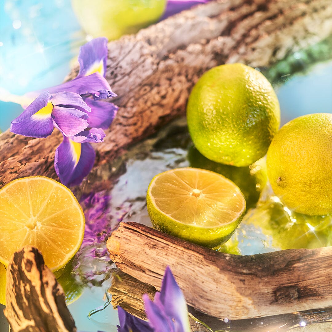 Two whole limes and a halved lime rest on wet driftwood among purple iris flowers, sunlight sparkling on water—a fresh, vibrant scene inspired by Oceania from Roja Parfums’ Isola Collection.