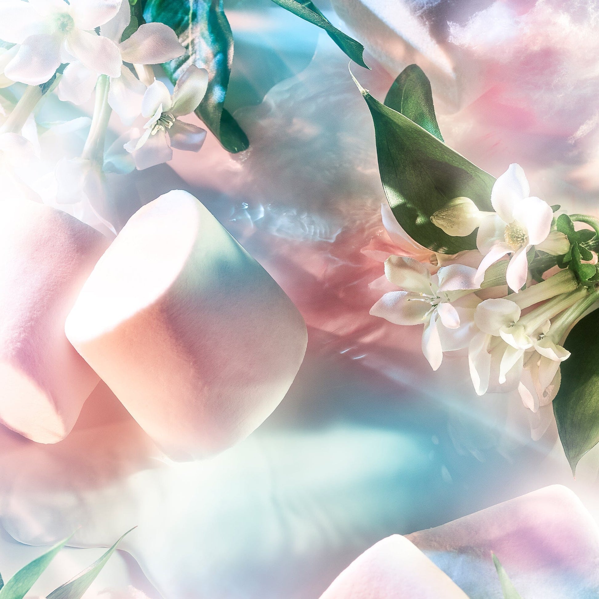 Reckless Pour Femme by Roja Parfums is displayed on a reflective surface with pastel marshmallows and white flowers, evoking a summery scent under soft, ethereal lighting.