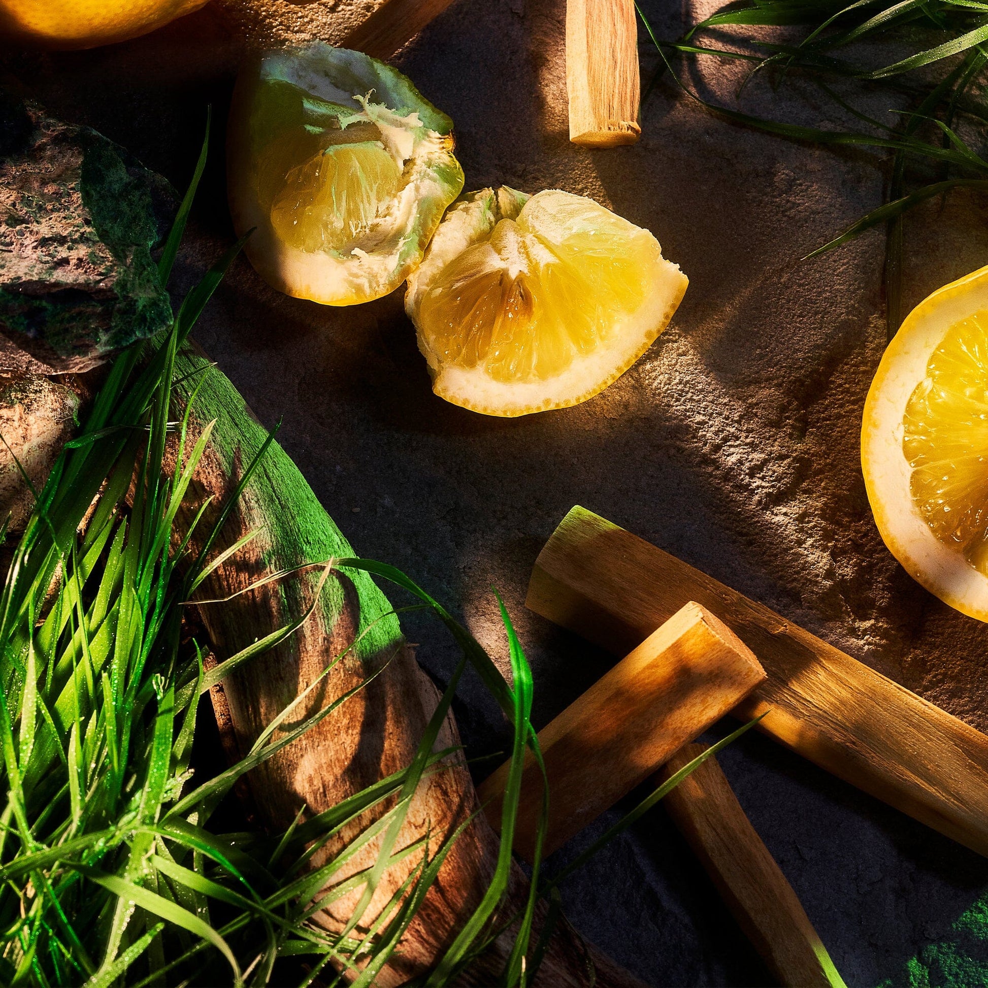 Slices of lemon, green grass, and wooden sticks rest on stone in warm sunlight, evoking the fresh masculine essence of Vetiver Pour Homme by Roja Parfums—a scene inspired by the fragrance’s natural elegance.